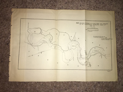 1893 Map of Mississippi River Location of Levees  Engineering Sketch Map Diagram