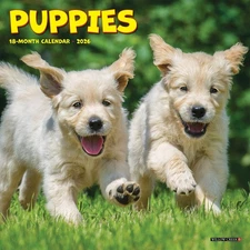 Puppies 2026 7" x 7" Mini Wall Calendar