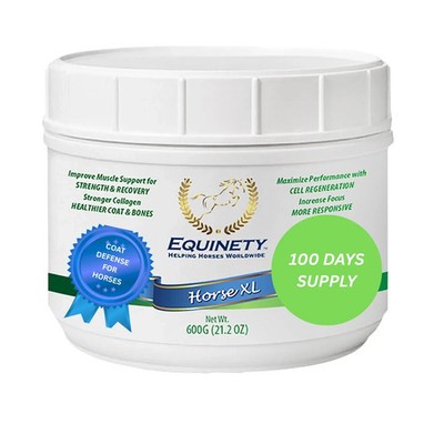 Equinety XL 600gm Horse Supplement Muscle Recovery & Shiny Coat FREE SHIPPING