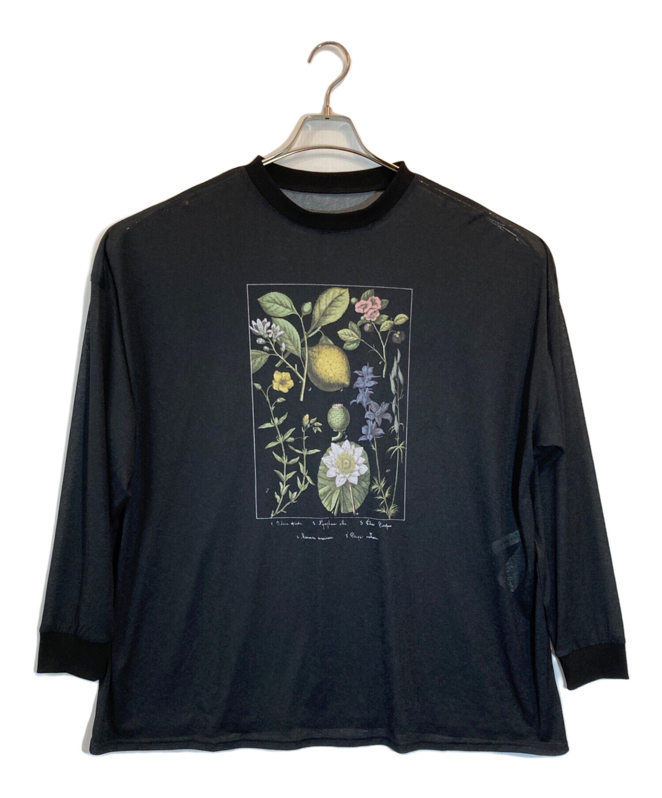 Ameri BOTANICAL SHEER LONG TEE SIZE Free black Ex… - image 1