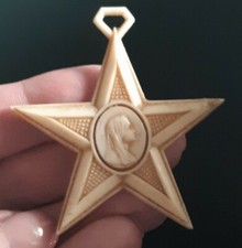 F13L08 pendentif Médaille religieux étoile  Marie plastique religion ésotérisme 