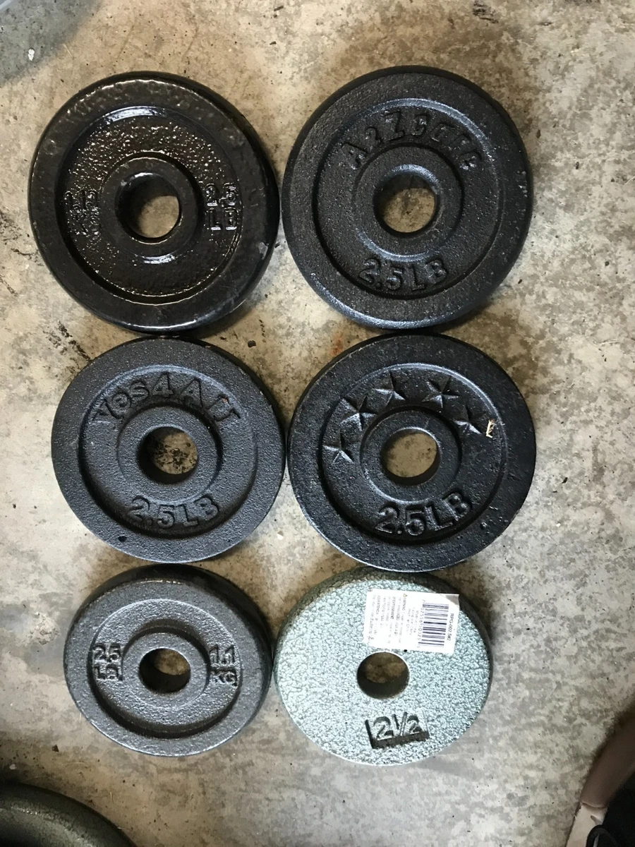 2.5 lb weight plates outlet