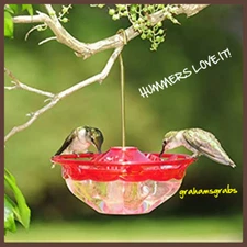 HummBlossom CUTEST HUMMINGBIRD Feeder ROSE  4 OZ. HUMMERS LOVE IT!! MADE IN USA