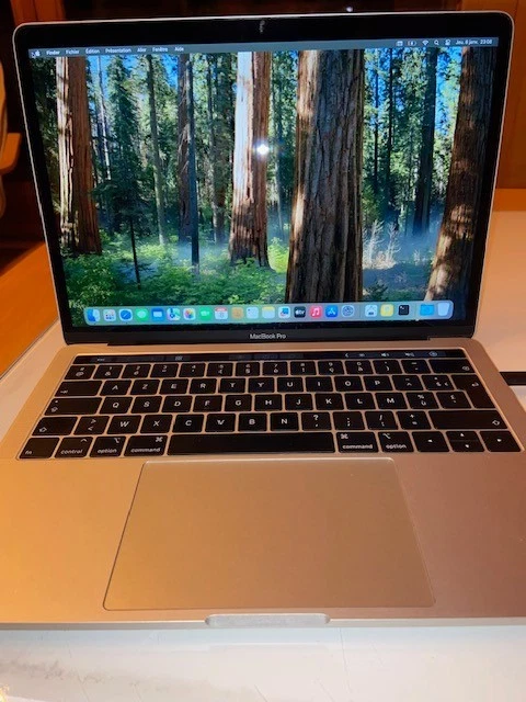 Apple MacBook Pro 13" · i5 8th gen 2.4 GHz · 8GB · 256GB, photo 1 sur 5