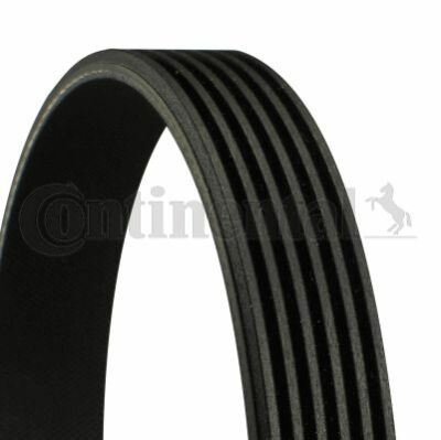 CONTITECH 6 PK 1740 V-Ribbed Belt OE REPLACEMENT | eBay