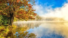 Landscape nature r lake mist trees reflection Custom Gaming Mat Desk