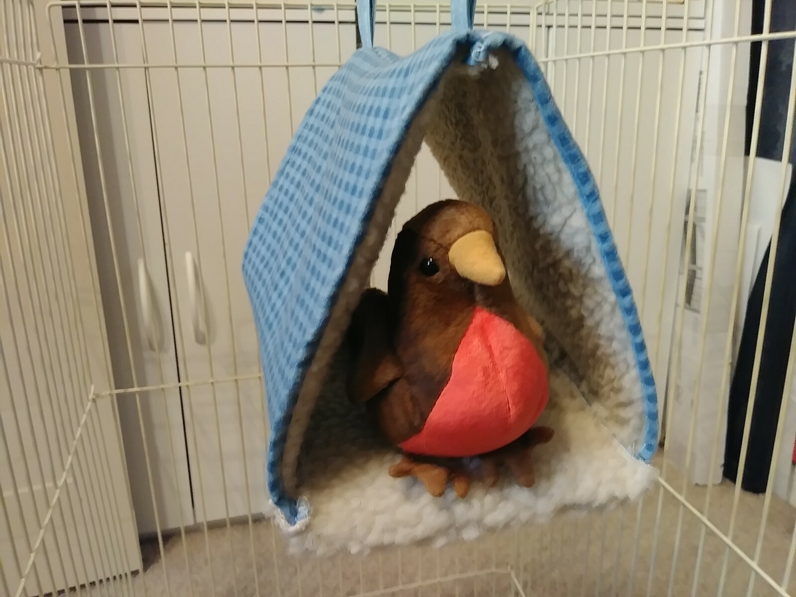 Bild 1 von 5