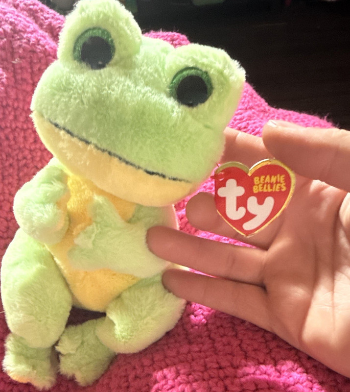Ty Beanie Bellies Snapper Plush Stuffed Animal for Ages 3 and Up 3-11 Years