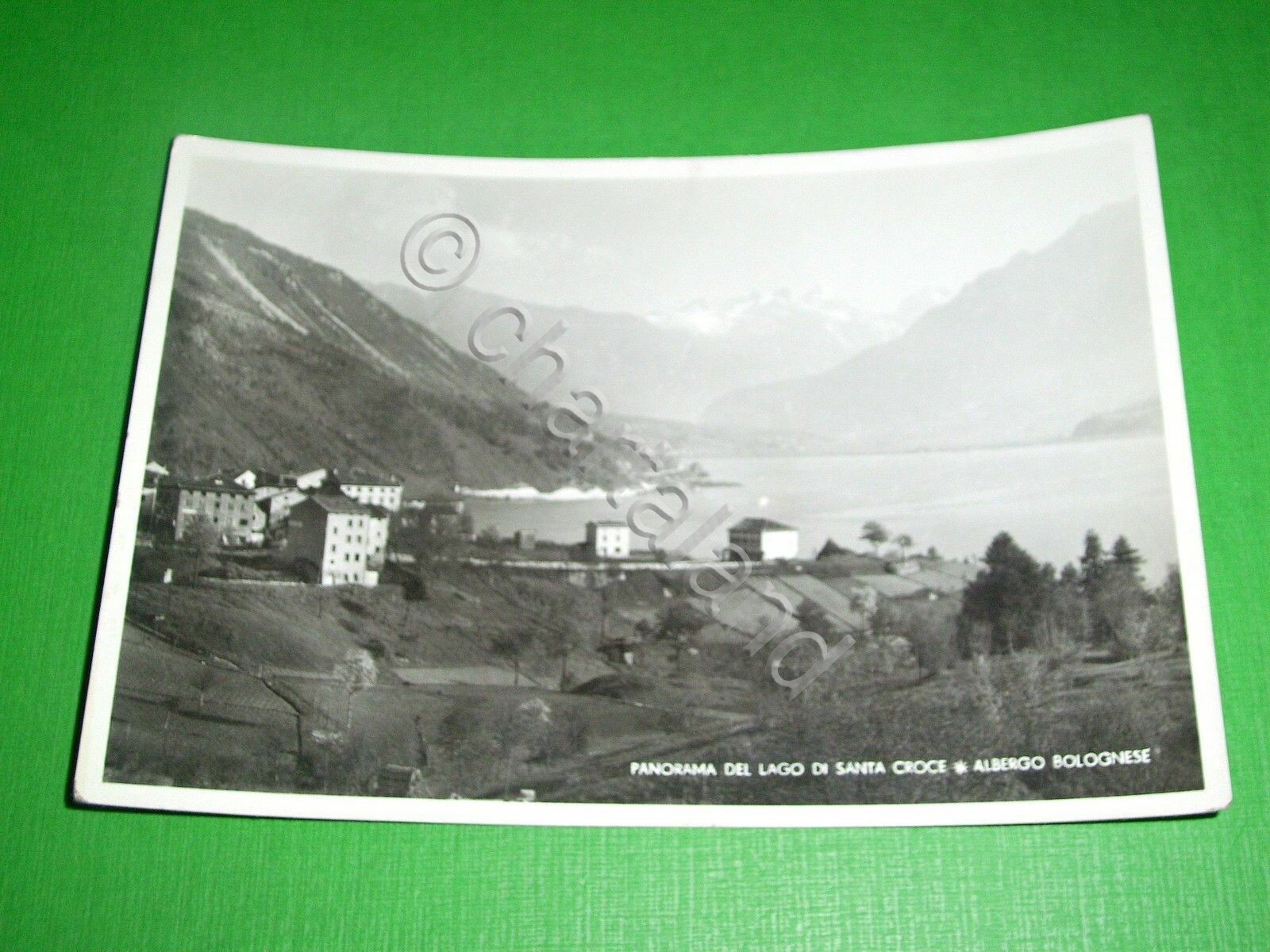 Foto 1 di 1