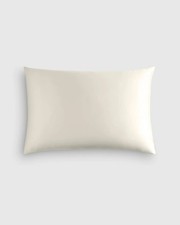 NWT Quince 100 Mulberry Silk Pillowcase Standard 20X26 Inches Ivory