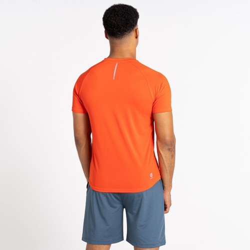 Dare 2B T-Shirt da Uomo Accelerate Fitness T-Shirt Uomo (Pacco da 1