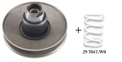 Correttore di coppia+Molla malossi bianco per Minarelli