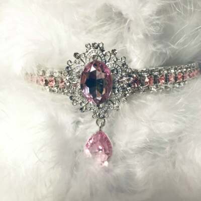 rhinestone cat collars