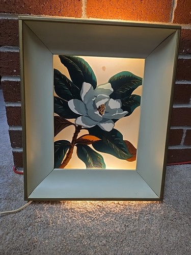 Vtg Reverse Painted Glass Magnolia Reverse Shadow Light Box Lighted Wall Art