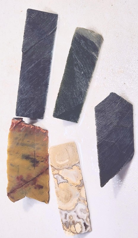 Jade - AZ Pet Wood - Indian Coral Jasper - Cab Cutting Rough - Decorator Stones
