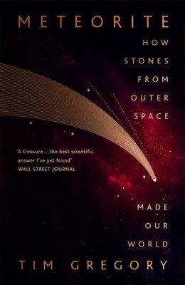 Meteorite: How Stones From Outer Space Made Our World by Tim Gregory PAPERBACK