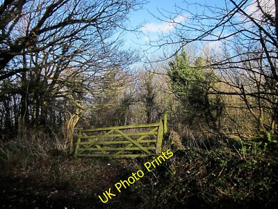 Photo 6x4 Gate, Liddon Hill Plantation Coombe/ST4009 Evidence suggests t c2015