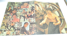 UNUSED 1974 BRUCE LEE - 10x12.5" School Folder CM3048