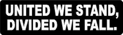 UNITED WE STAND, DIVIDED WE FALL. HELMET STICKER HARD HAT STICKER 