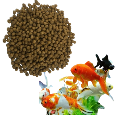 Best Fish Food for Ornamental Fish: Top Choices for Vibrant Health