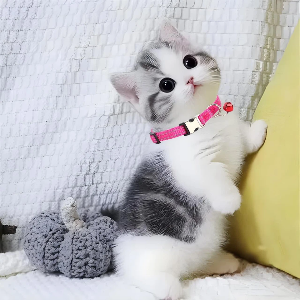 Small Dog Collar with Bell, Green Reflective Male Cat Collars Nylon Metal Buckle - Image 2 of 4