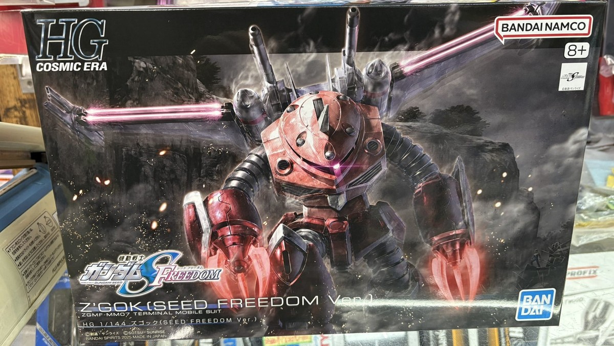HG ガンプラセット Z'Gok &Cavalier Airfrid HG ガンプラセット Z'Gok &Cavalier Airfrid HG(ハイグレード)