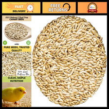 100 Pure Non-GMO Canary Seed Double Cleaned Bird Food for Canaries, Finches