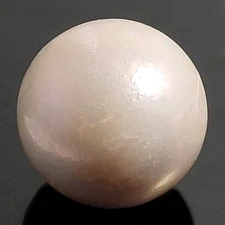 Natural 22.85 Ct "Indonesian" Light Pink Multi Color 15.00 MM South Sea Pearl