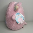 Foto 2 di 6