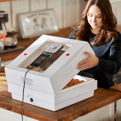 41-Egg Capacity Digital Air Incubator with Auto Egg Turner & Humidity Control - Picture 6 of 11