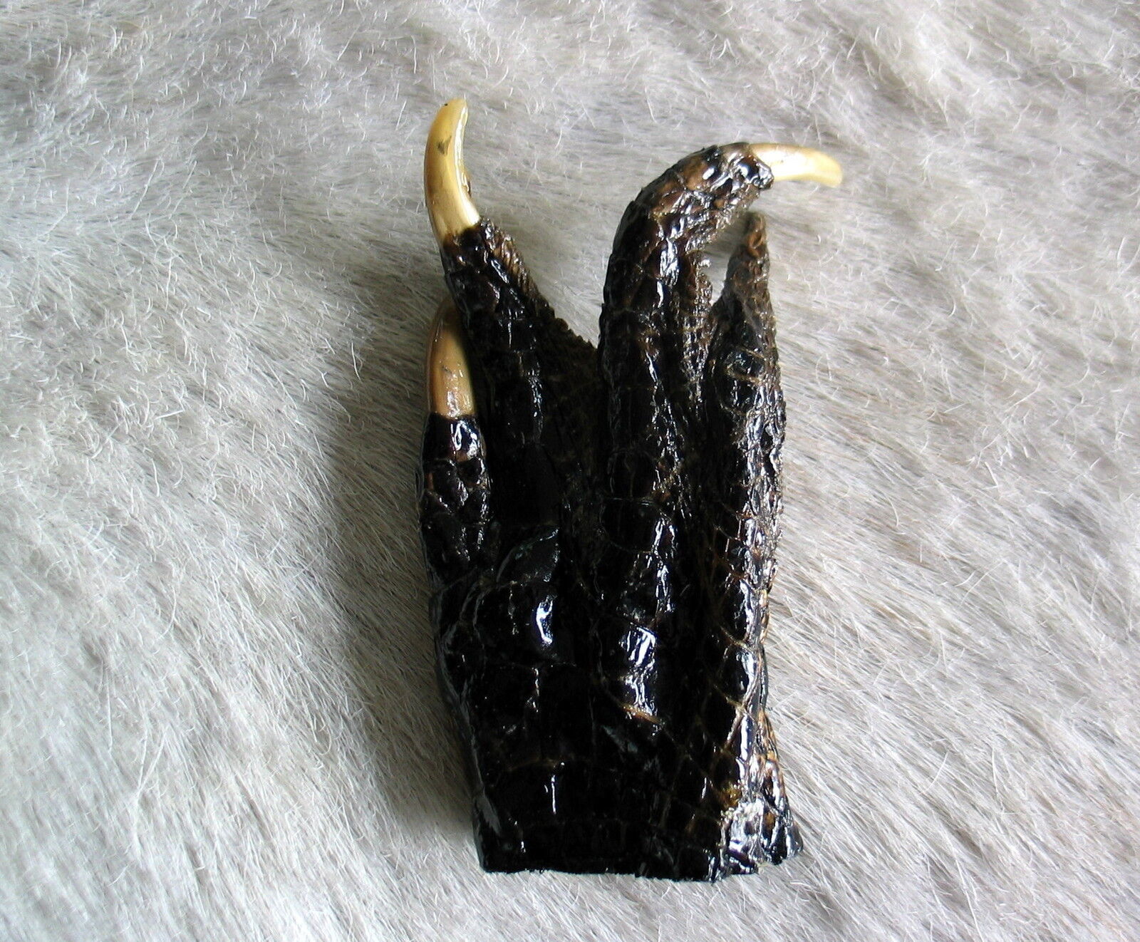 UNUSUAL ALLIGATOR FOOT COLLECTIBLE TAXIDERMY STAR TREK LIVE LONG AND PROSPER 2