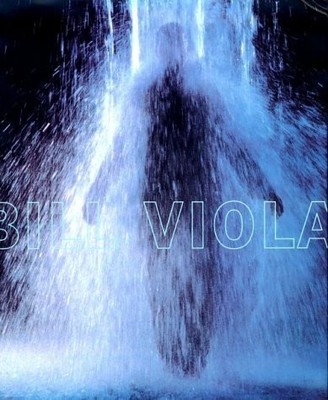 Bill Viola Buch Flammarion