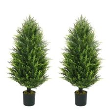 Caphaus Artificial Cedar Tree 36"H Natural Faux Plant In Black Pot (Set Of 2)