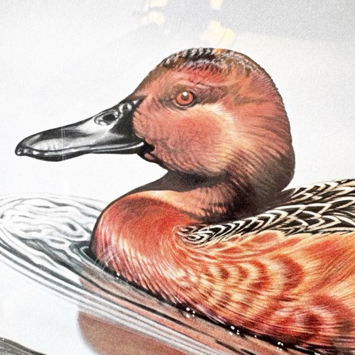 Ducks Unlimited 1985 Gold Medallion Ed. G. Mobley Signed No. 4024/6050 3 Stamps - Picture 9 of 17