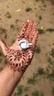 Video 1 of 1