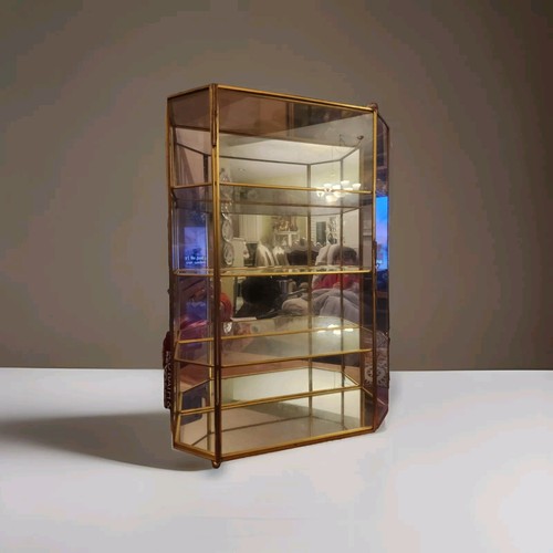 Vtg 15.5 " Brass Lined Glass Curio Cabinet Shelf Mirror Wall Mount or Table Top