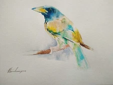Barbet, Birds, Watercolor artwork, Handmade, Original painting on paper