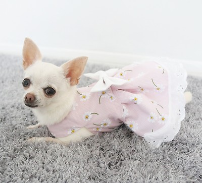 strapless open back dress Gold Sequin Dog Dress main image 1