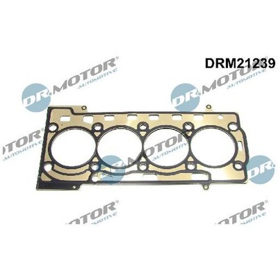 Dr.motor Automotive Dichtung Zylinderkopf 24816589 03C103383M 03C103383AM
