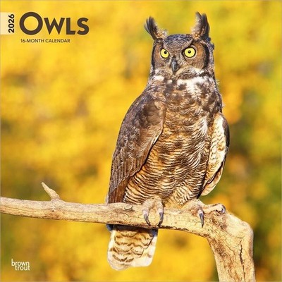 2026 Calendar Owls 16-Month Square Wall BrownTrout BT05054