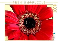 Calvendo Puzzle Red Gerbera | 1000 Pieces, Finished Size 25.2 × 18.9 In (64 × 48