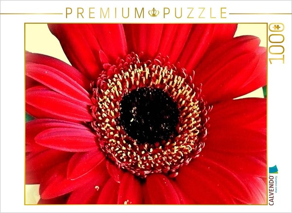 Calvendo Puzzle Red Gerbera | 1000 Pieces, Finished Size 25.2 × 18.9 In (64 × 48-image
