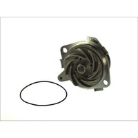 Wasserpumpe Thermotec D1D018TT