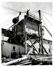 1941 Kelp Fishing Net Building Logs 8X10 Historic Vintage Press Photo