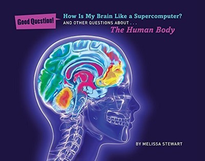 HOW IS MY BRAIN LIKE A SUPERCOMPUTER: AND OTHER QUESTIONS By Melissa Stewart