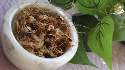 Wild Yam Root - Whole Dried Roots, 2026 Appalachian Mountains Wild Harvest