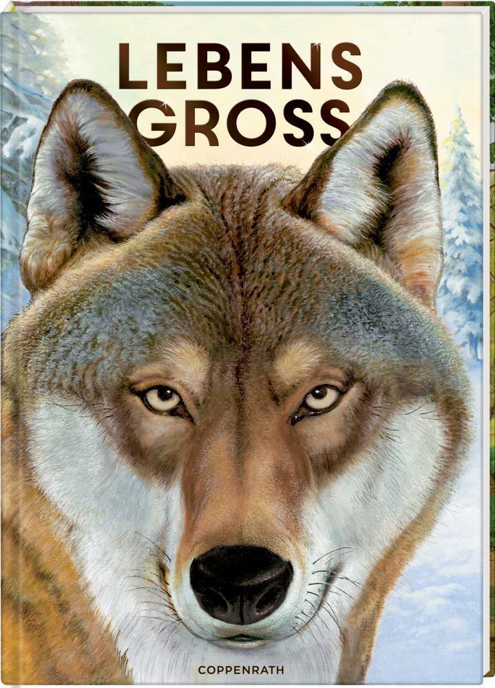 Thumbnail - Lebensgroß Tiere Des Waldes Holger Haag Buch Nature Zoom 56 S. Deutsch