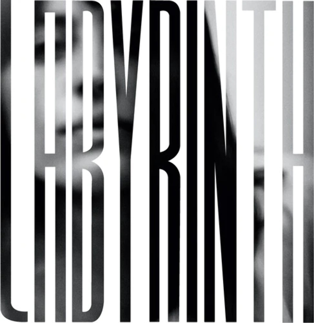 Хизер Вудс Бродерик - Лабиринт на НОВОМ запечатанном виниле