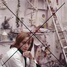 Photo de NIKI DE SAINT-PHALLE