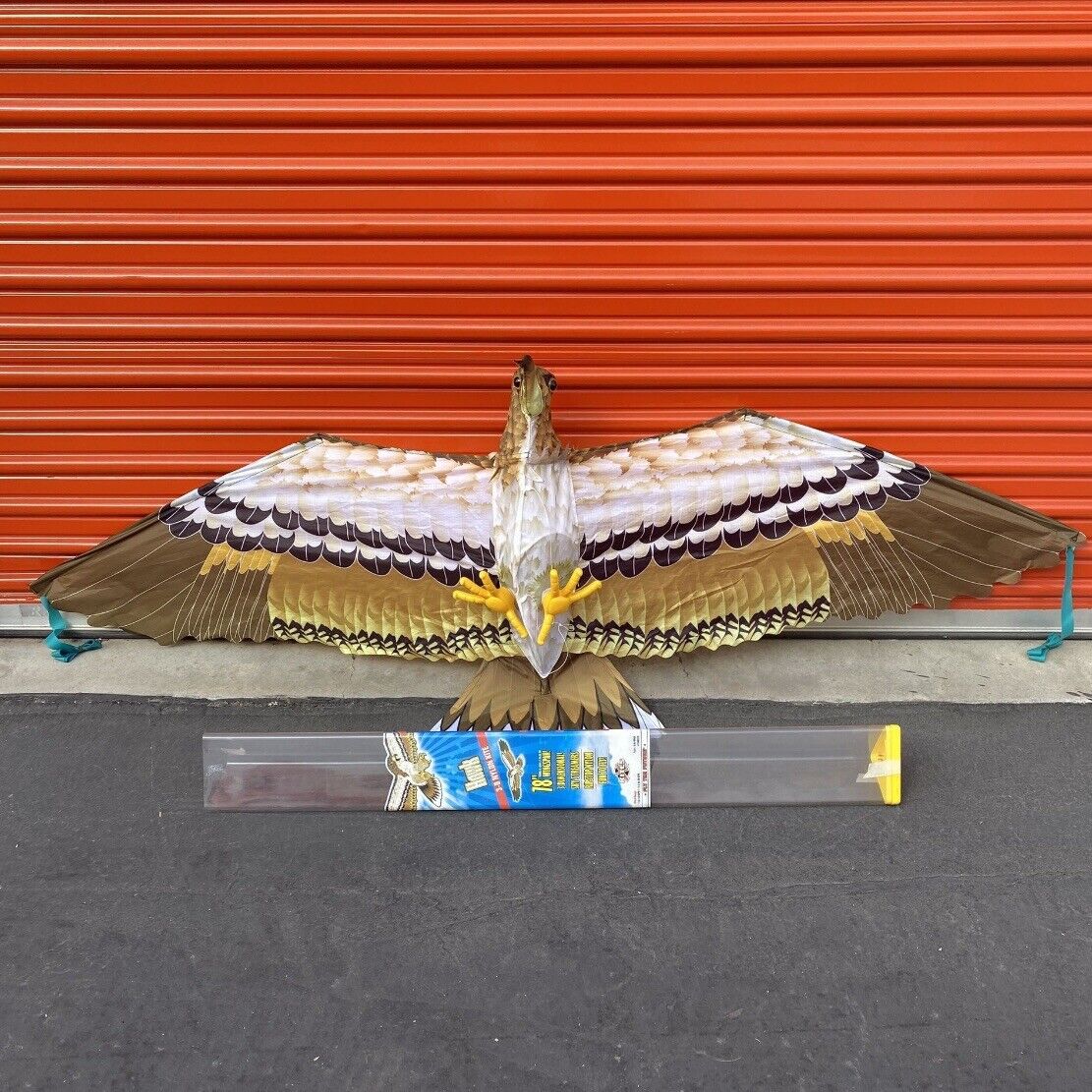 3-D Hawk Nylon Kite 78” Wingspan Bonus B Year-end gift with X-Kite Tri-Winder Wholesale